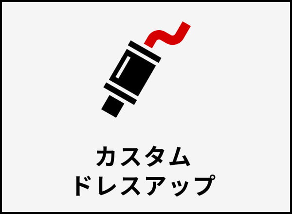 カスタムドレスアップ